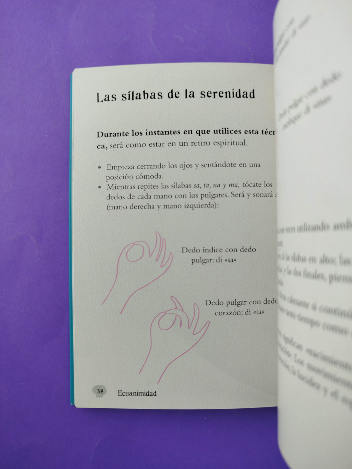 El pequeño libro de la paz interior by Ashley Davis Bush