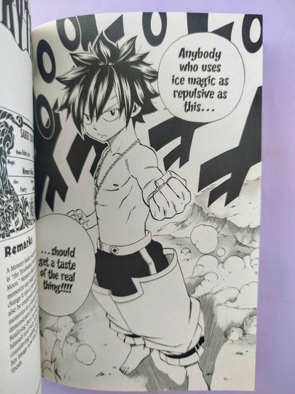 Fairy tail N.41