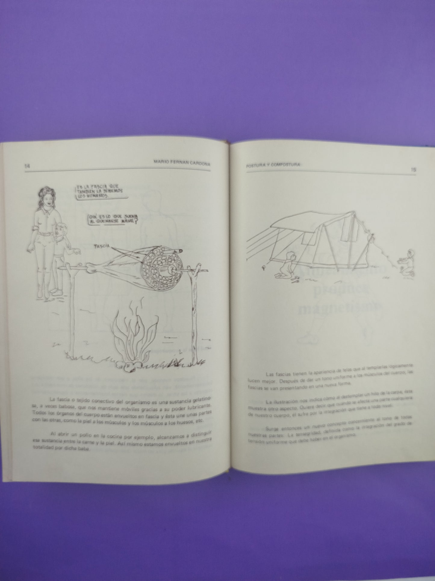 Postura y Compostura