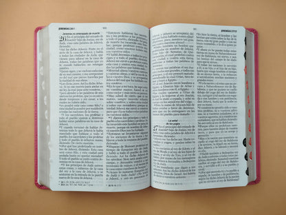 Biblia rvr 1960 clásica fucsia con borde dorado e índice by Reina Valera 1960