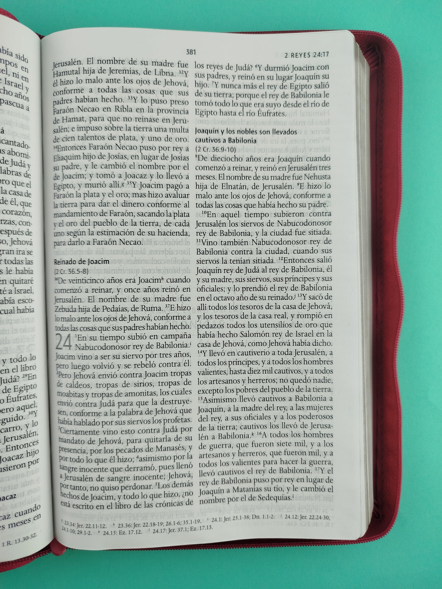 Biblia rvr 1960 letra grande tipo agenda fucsia con cierre e imágenes de la tierra santa tamaño manual