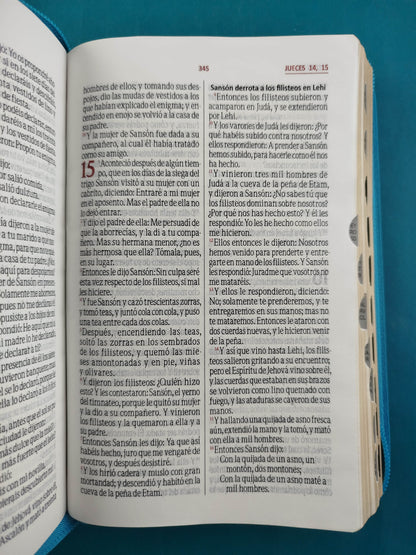 Biblia rvr Beige verde aguamarina Canto Dorado Cierre con índice by Reina Valera 1960