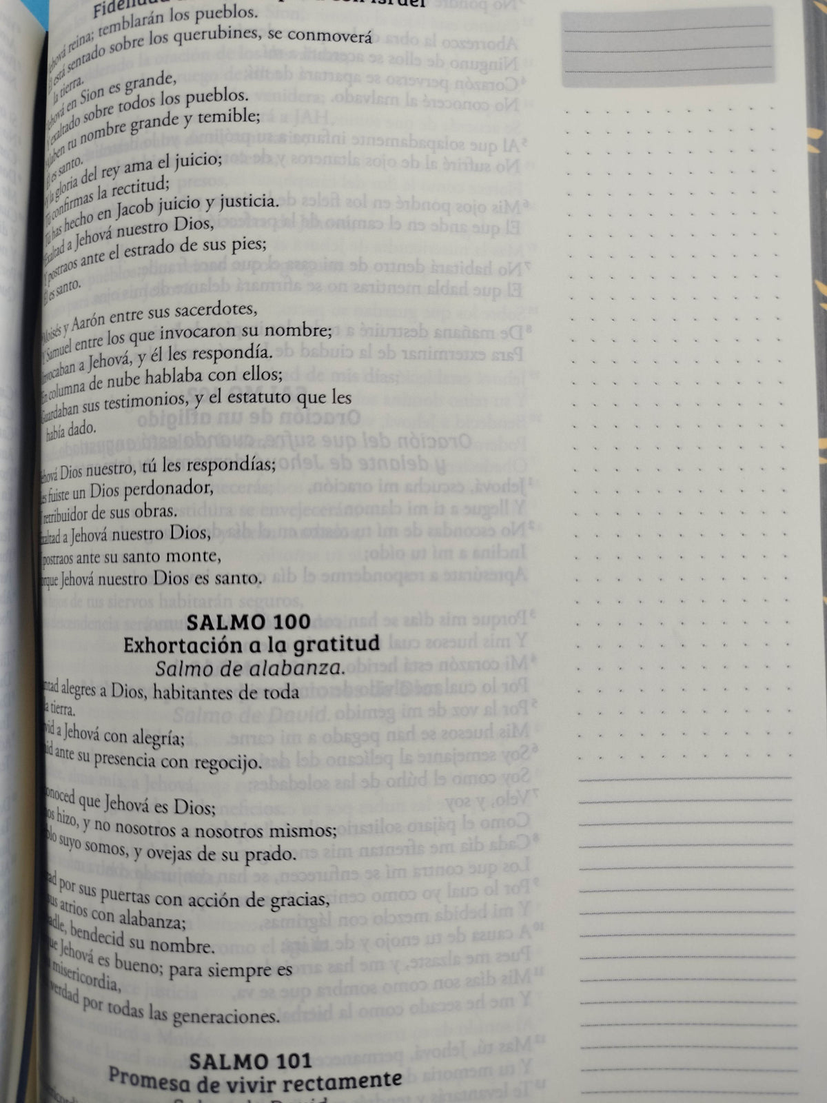Biblia De Apuntes RVR 1960 TD Negro y oro by reina valera 1960