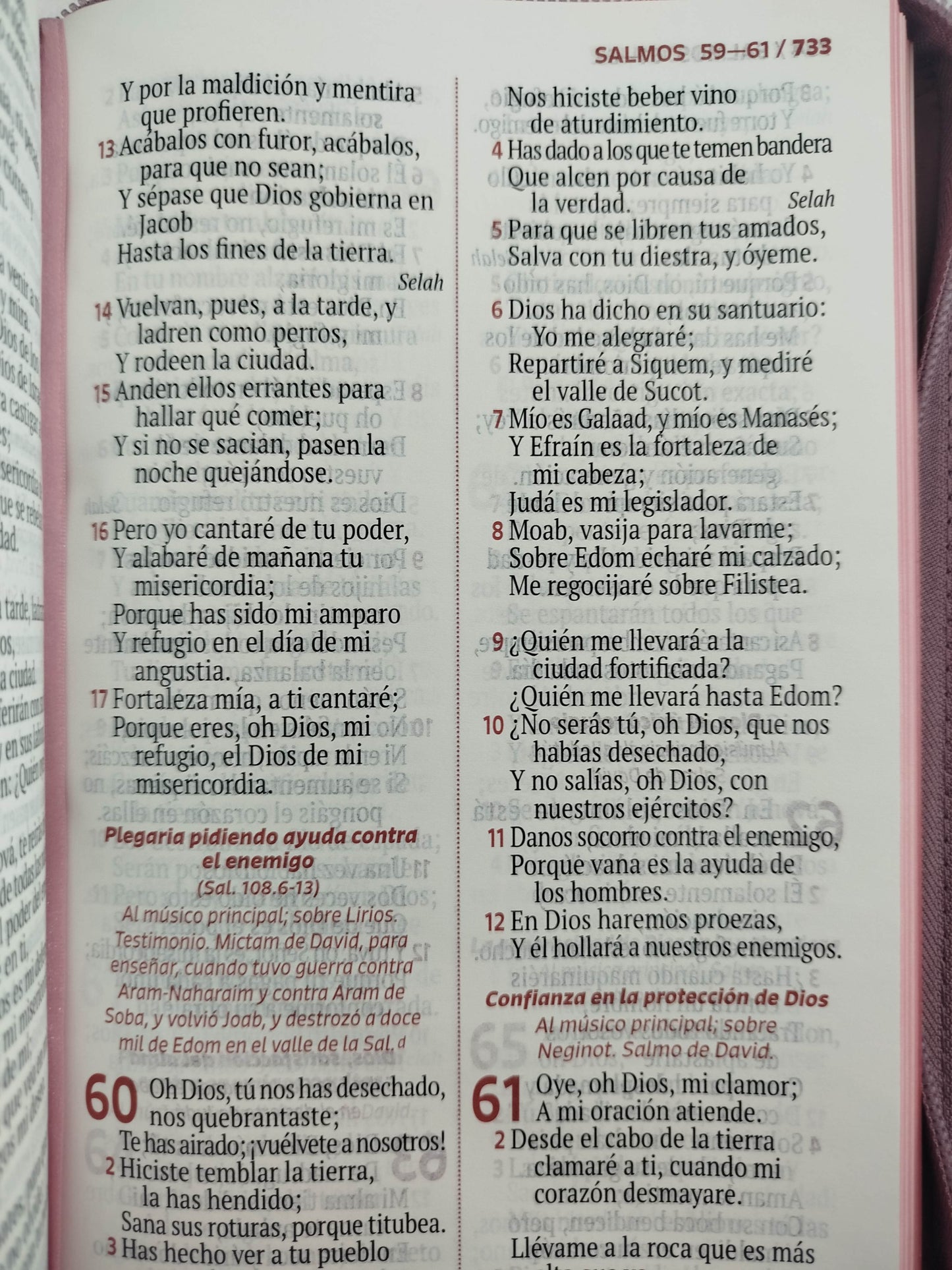 Biblia rvr letra grande rosada flores by Reina Valera 1960