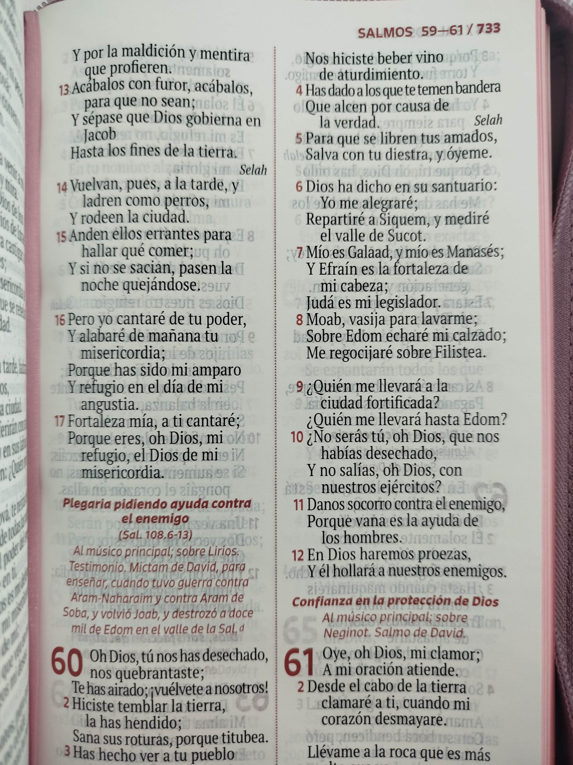 Biblia rvr letra grande rosada flores by Reina Valera 1960