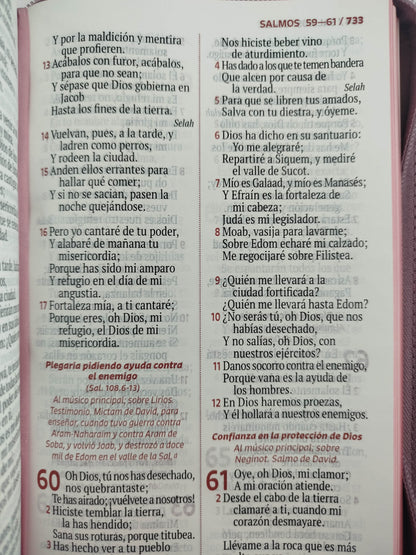 Biblia rvr letra grande rosada flores by Reina Valera 1960