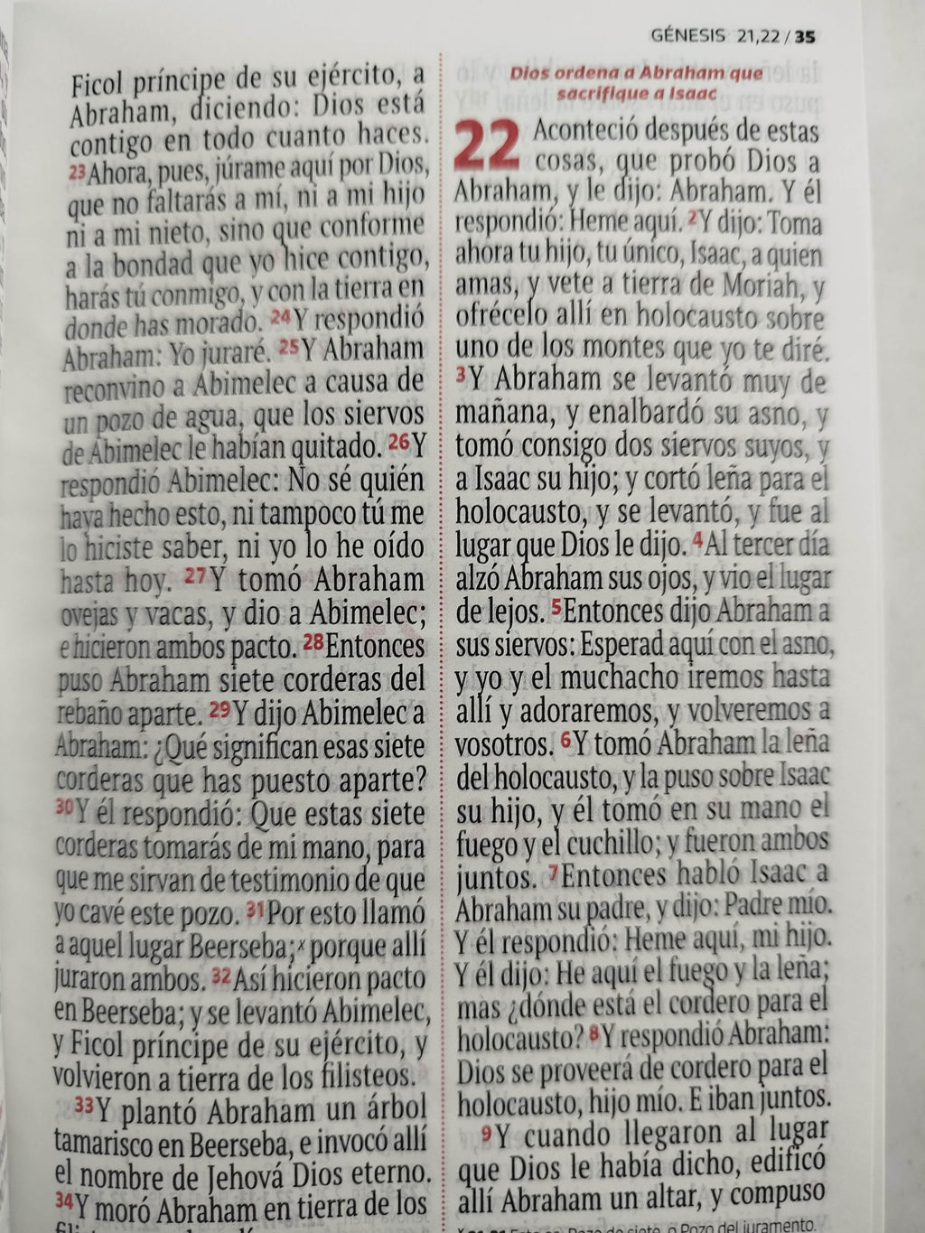 Biblia RVR 1960 letra grande blanca - flores by Reina Valera 1960