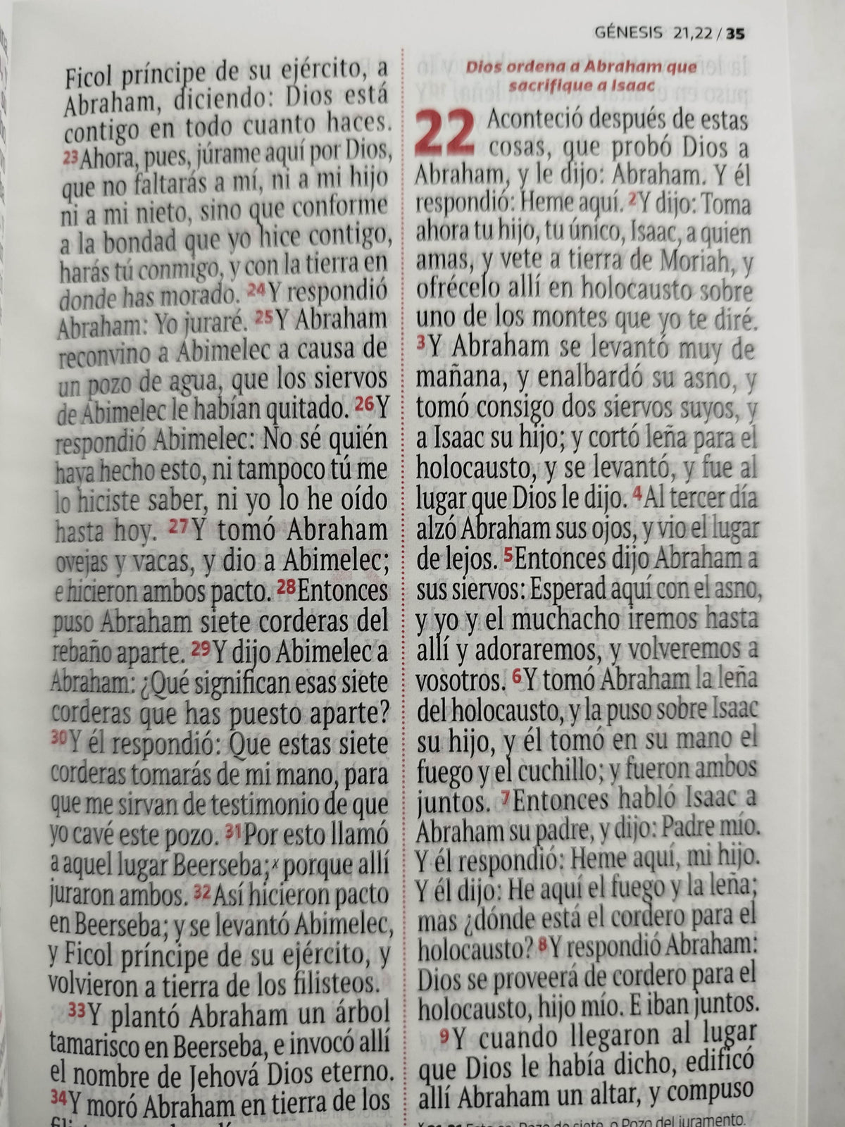Biblia RVR 1960 letra grande blanca - flores by Reina Valera 1960