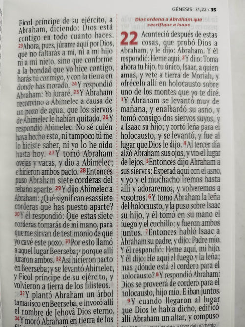 Biblia RVR 1960 letra grande blanca - flores by Reina Valera 1960