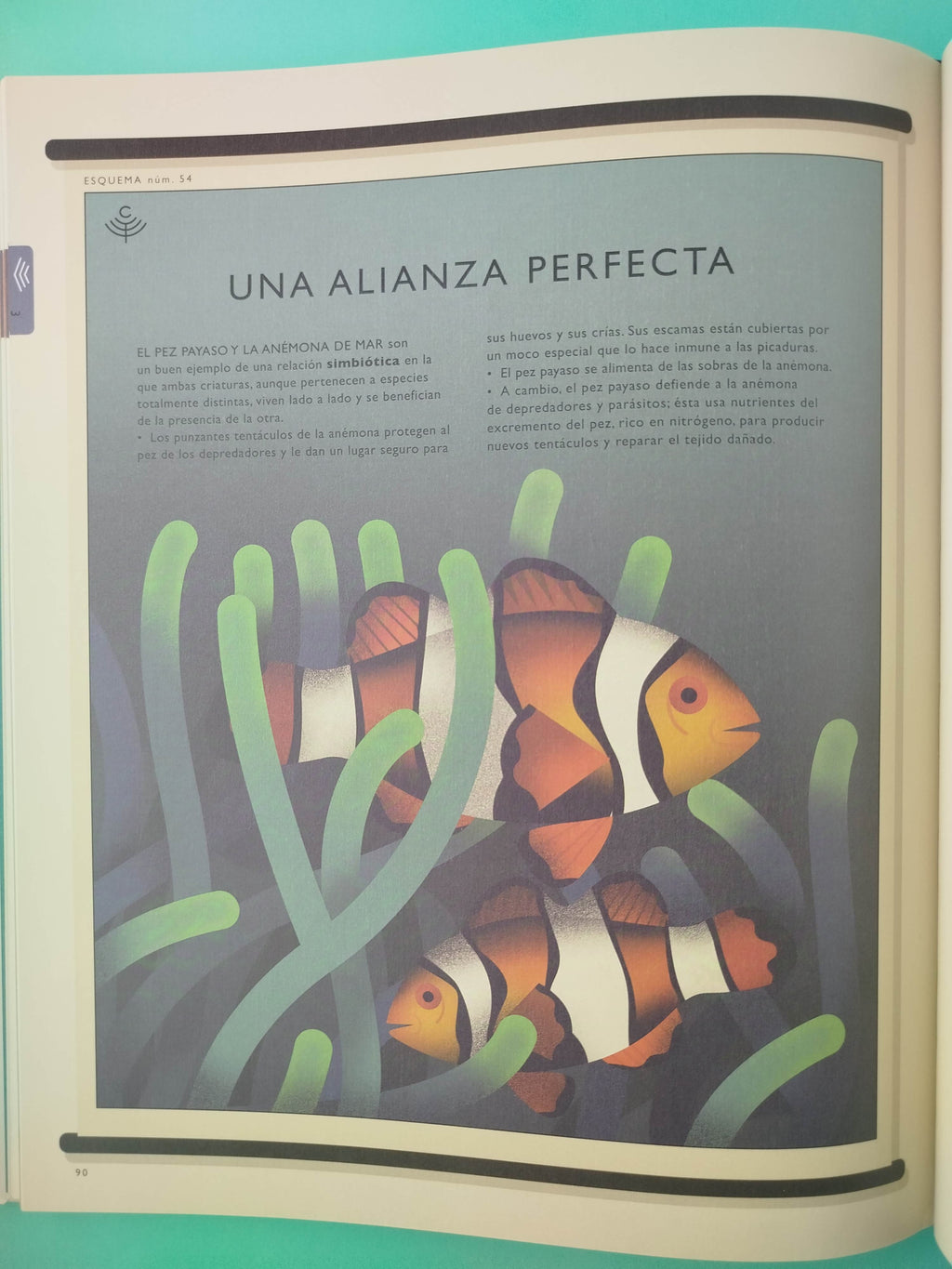 El mundo natural by Amanda Wood