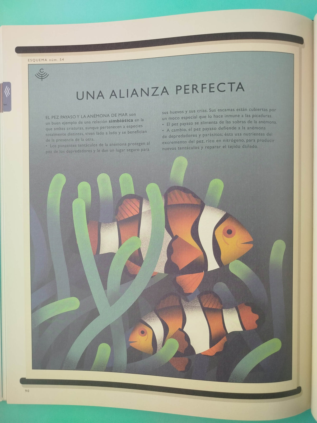 El mundo natural by Amanda Wood