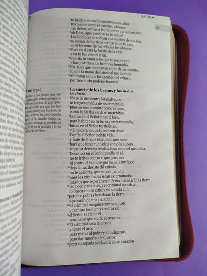 Nuestra sagrada biblia letra grande misión continental roja