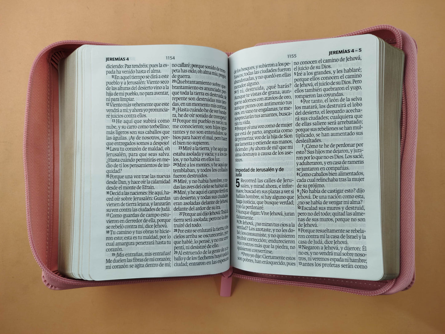 Biblia rvr 1960 rosado letra grande con forro borde dorado by Reina Valera 1960