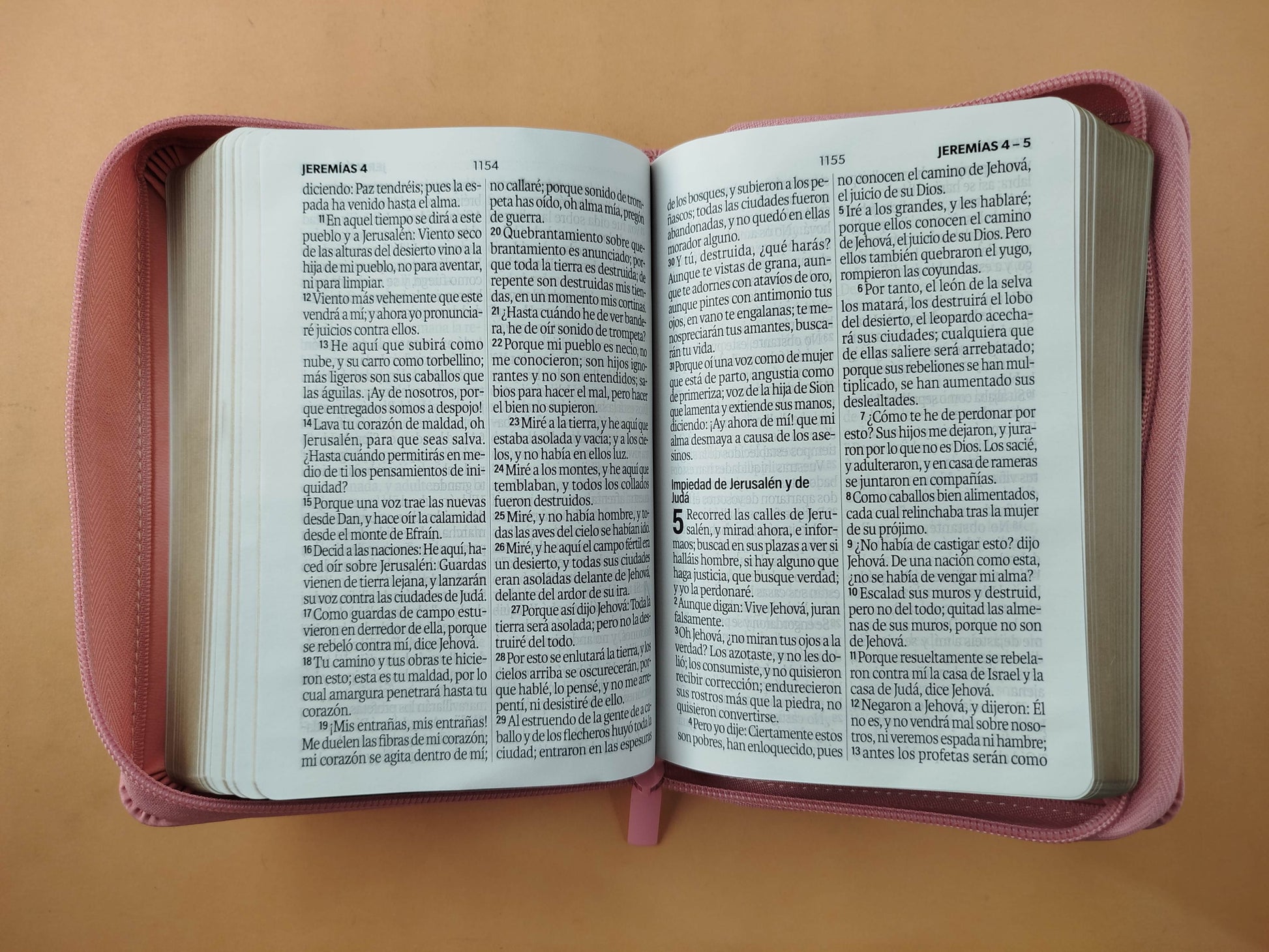Biblia rvr 1960 rosado letra grande con forro borde dorado by Reina Valera 1960
