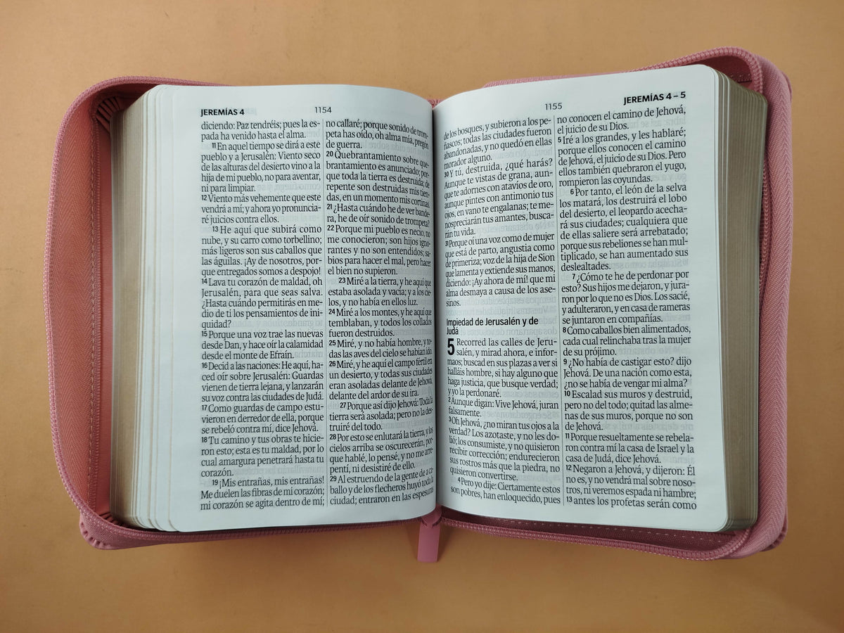 Biblia rvr 1960 rosado letra grande con forro borde dorado by Reina Valera 1960