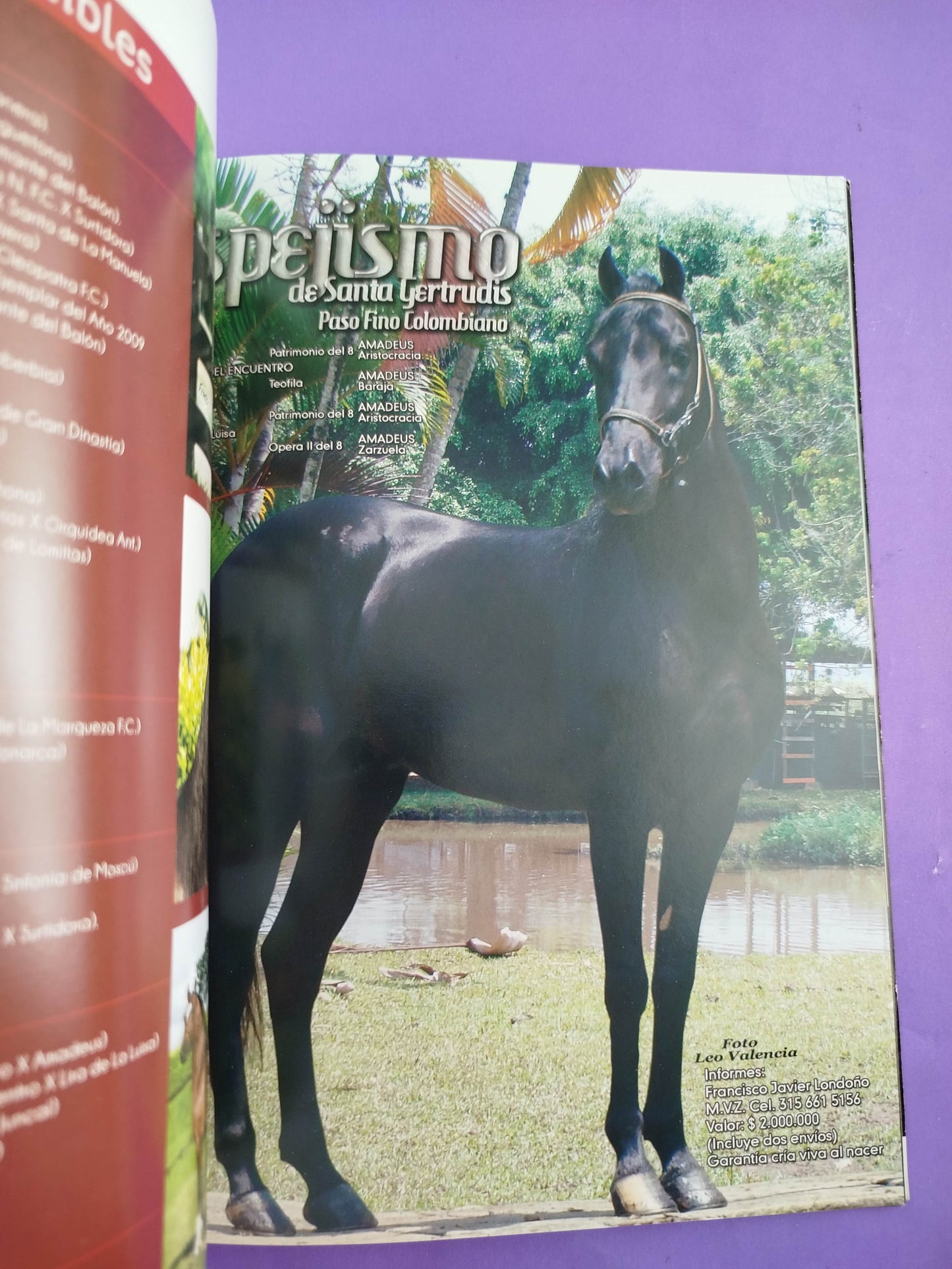 Universo equino. Revista internacional del cabello No.16 by Varios