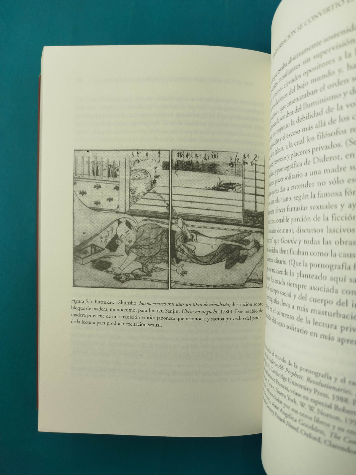 Sexo solitario by Thomas W. Laqueur