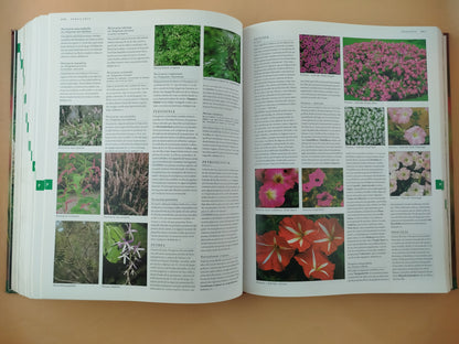 Botánica: guía ilustrada de plantas : más de 10.000 especies de la A a la Z y como cultivarlas