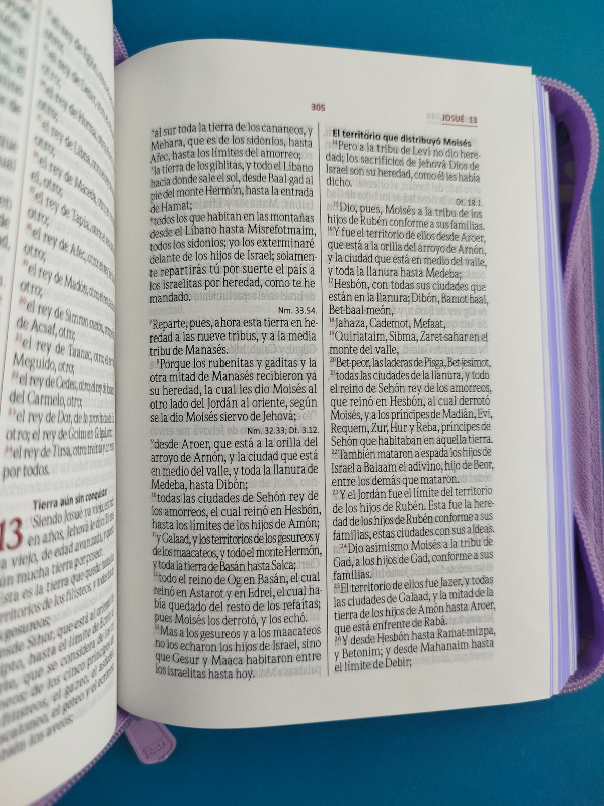 Biblia pequeña lila promoción by Reina Valera 1960