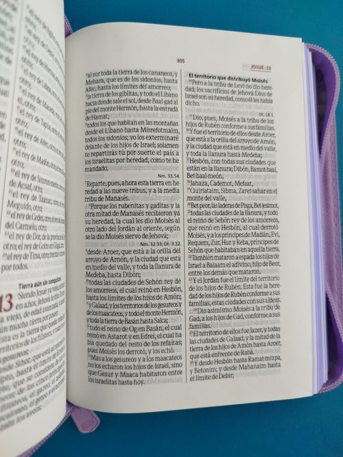 Biblia pequeña lila promoción by Reina Valera 1960