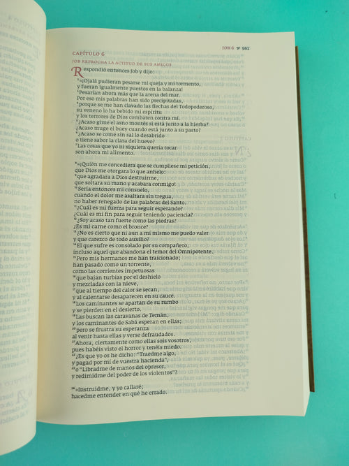Biblia Del Siglo De Oro by libreriatroya.com