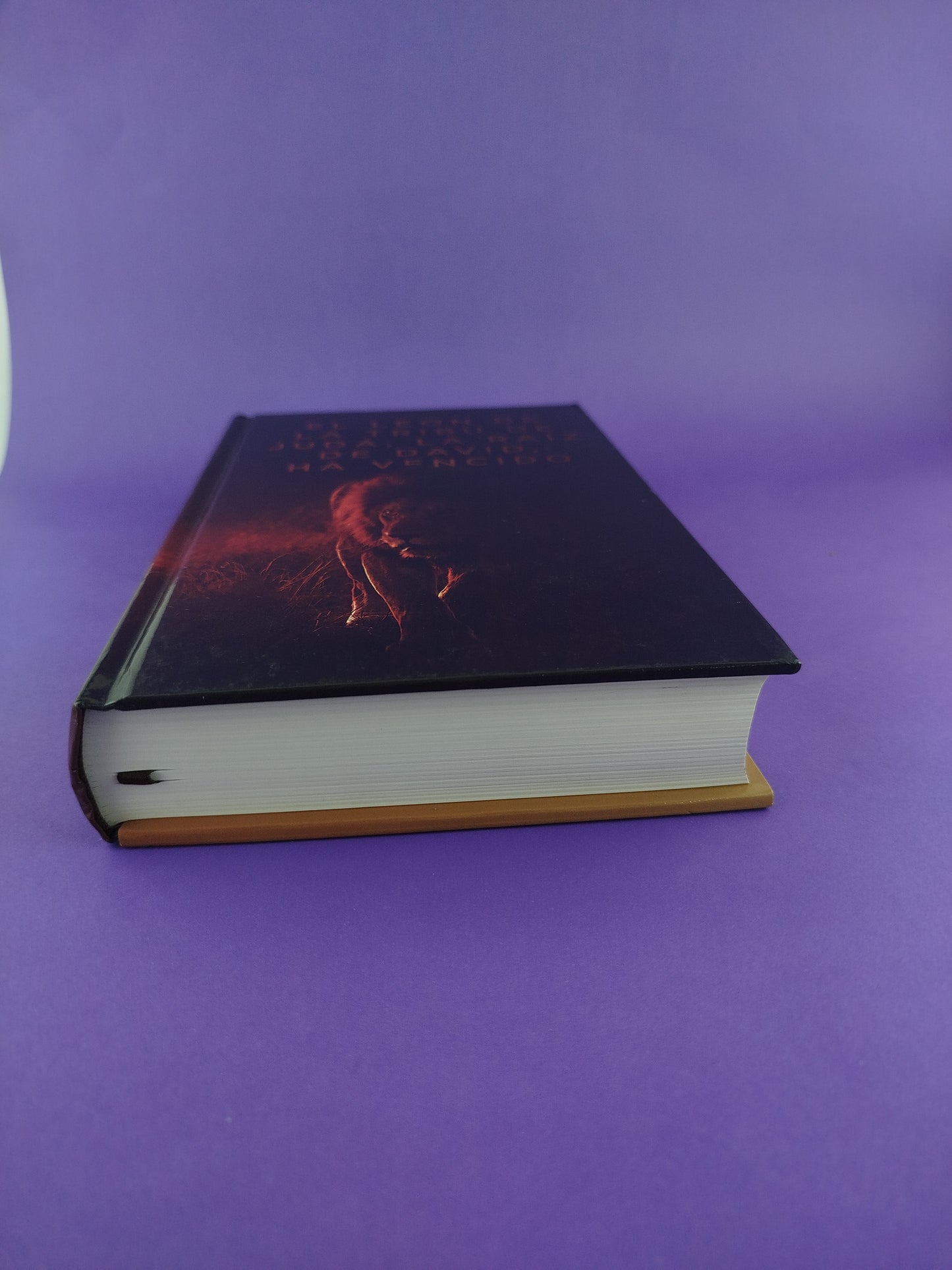 Biblia rvr pasta dura letra grande león de de la tribu de judá
