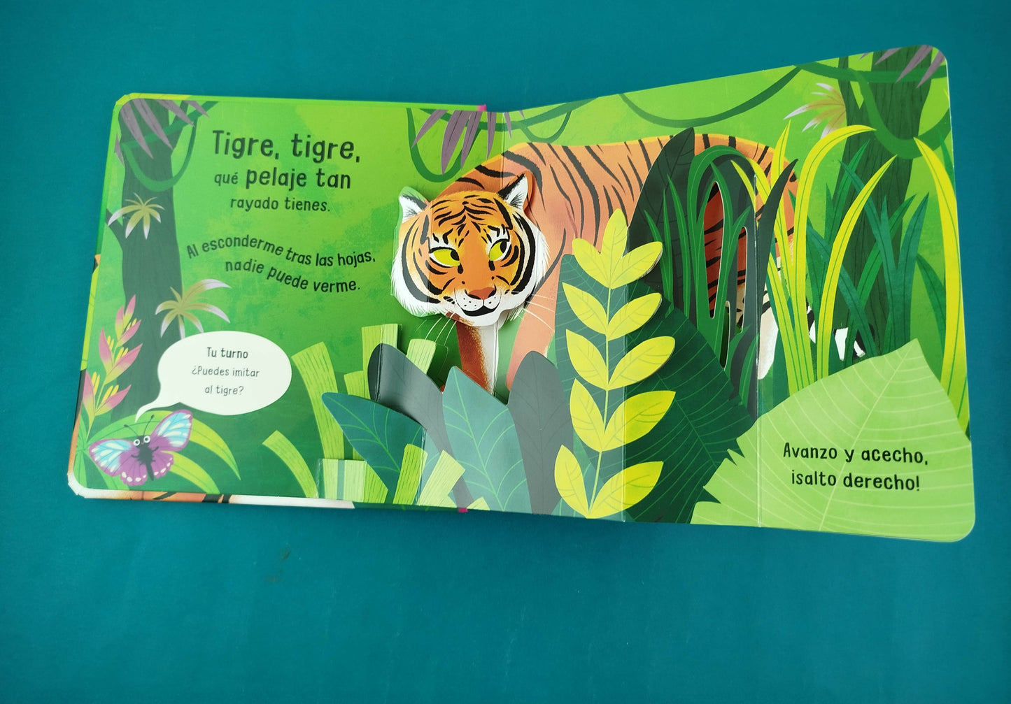 Tigre,Tigre, qué pelaje tan rayado !