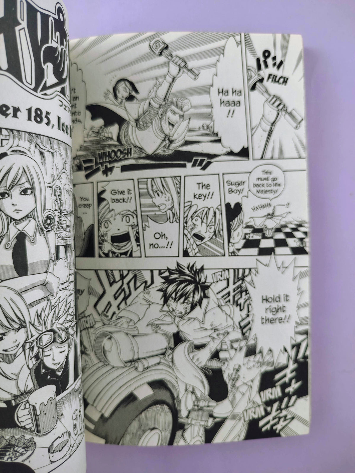 Fairy tail N.22 by Hiro Mashima