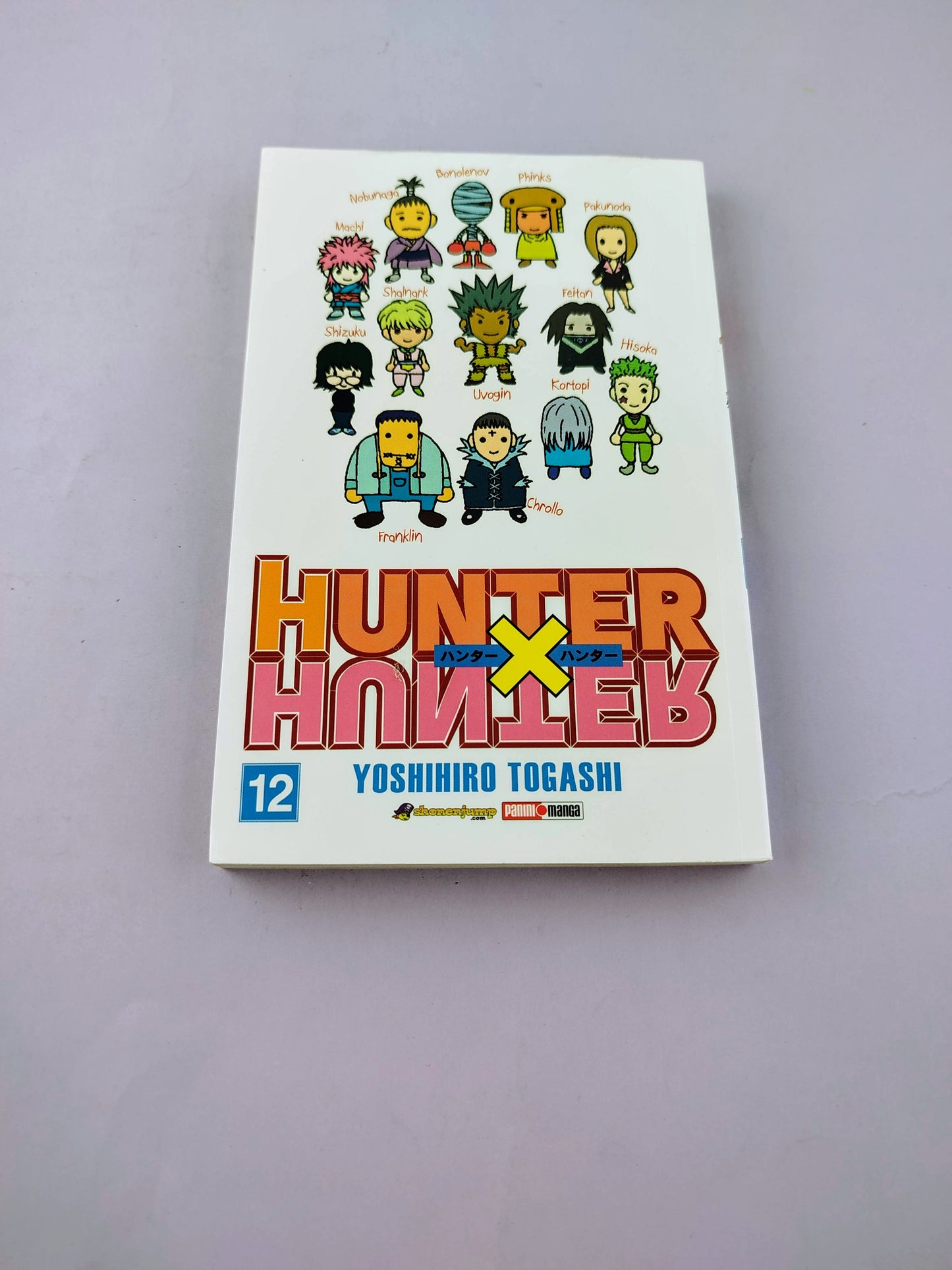 Hunter x hunter N.12