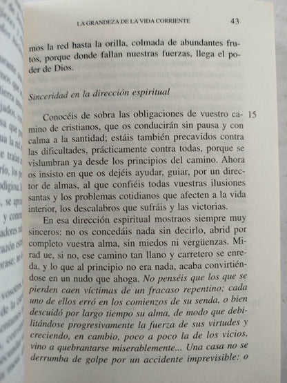 Amigos de Dios by Josemaría Escriva De Balaguer