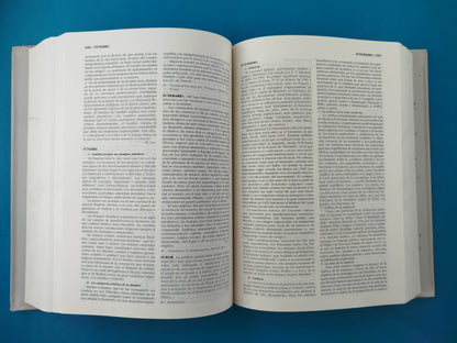 Diccionario Akal de Estética