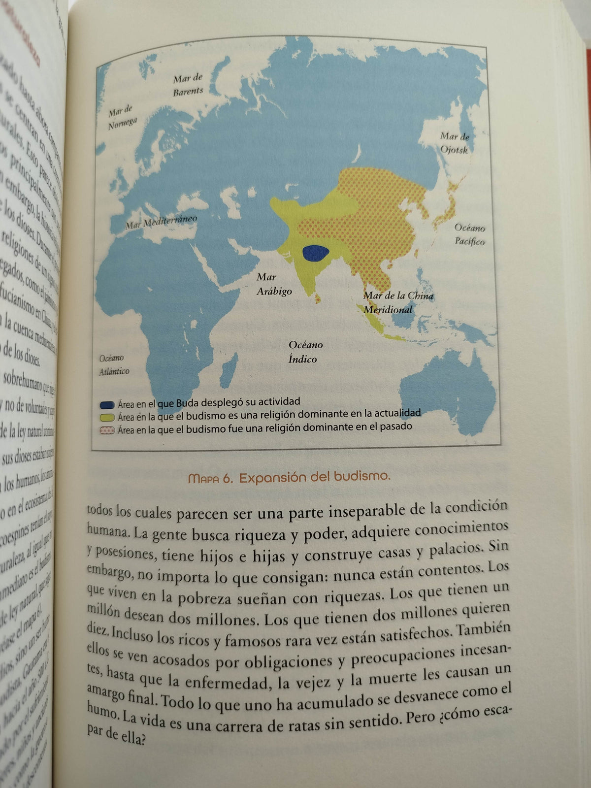 Sapiens de animales a dioses 10a edición breve historia de la humanidad by yuval noah harari