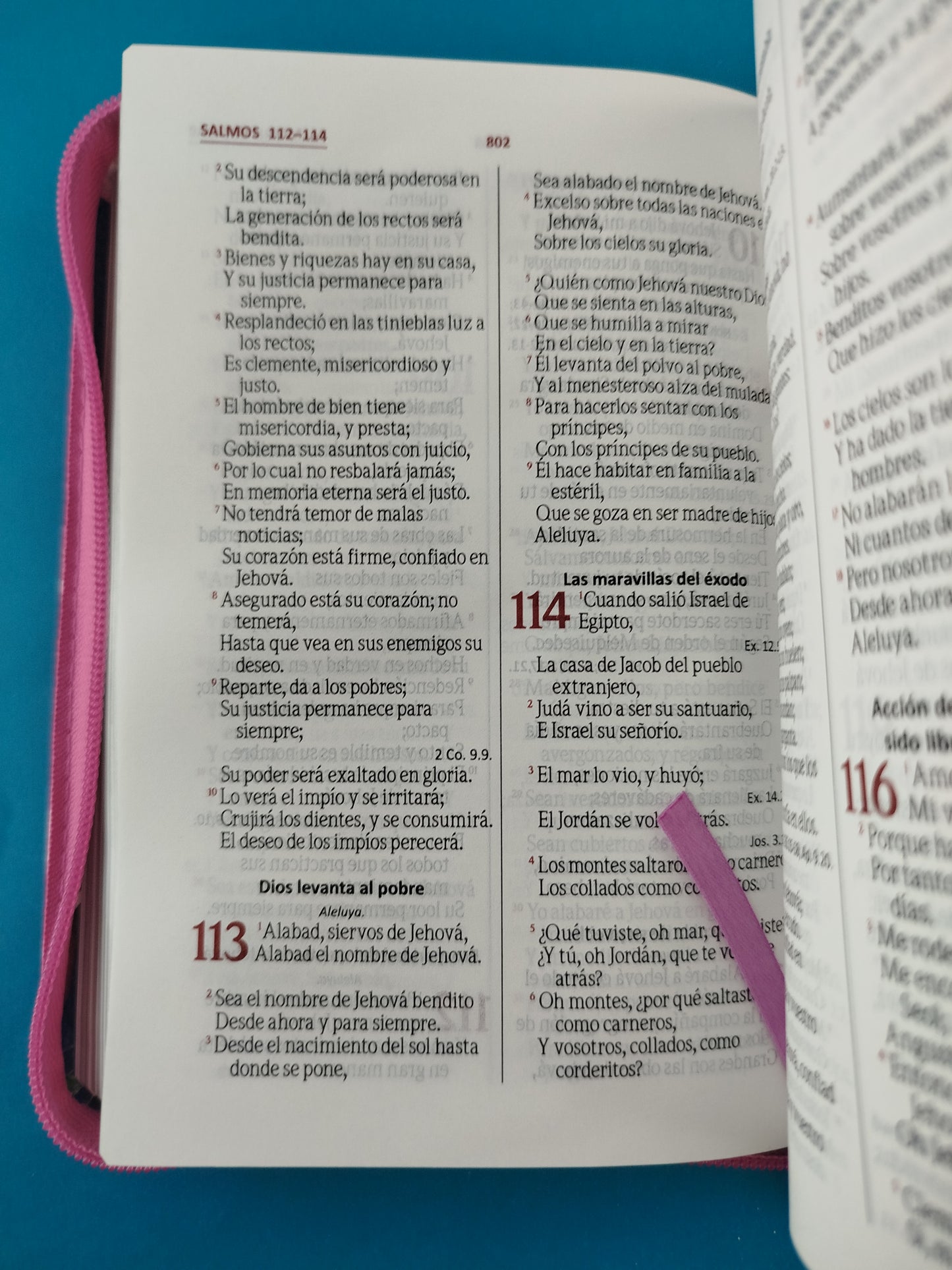 Biblia troquelada magenta flores canto plateado