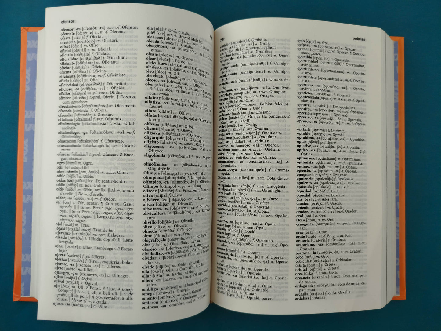 Diccionari Manual castellano-catalán