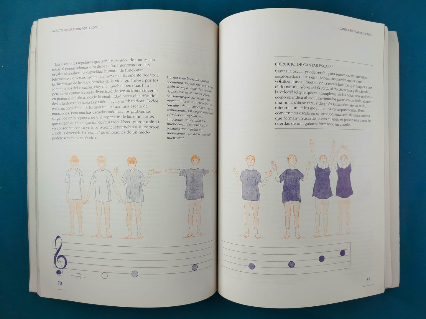 El libro de la terapia del sonido