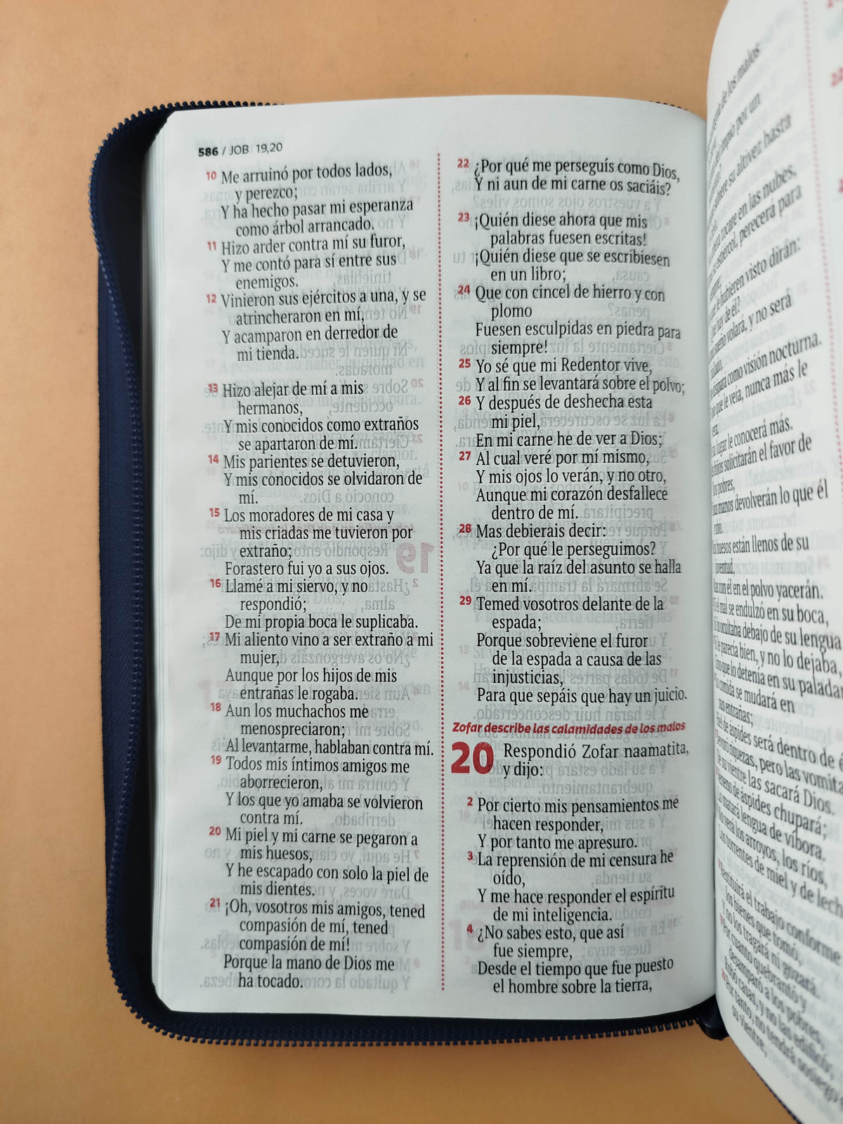 Biblia rvr letra grande azul borde plateado by Reina Valera 1960
