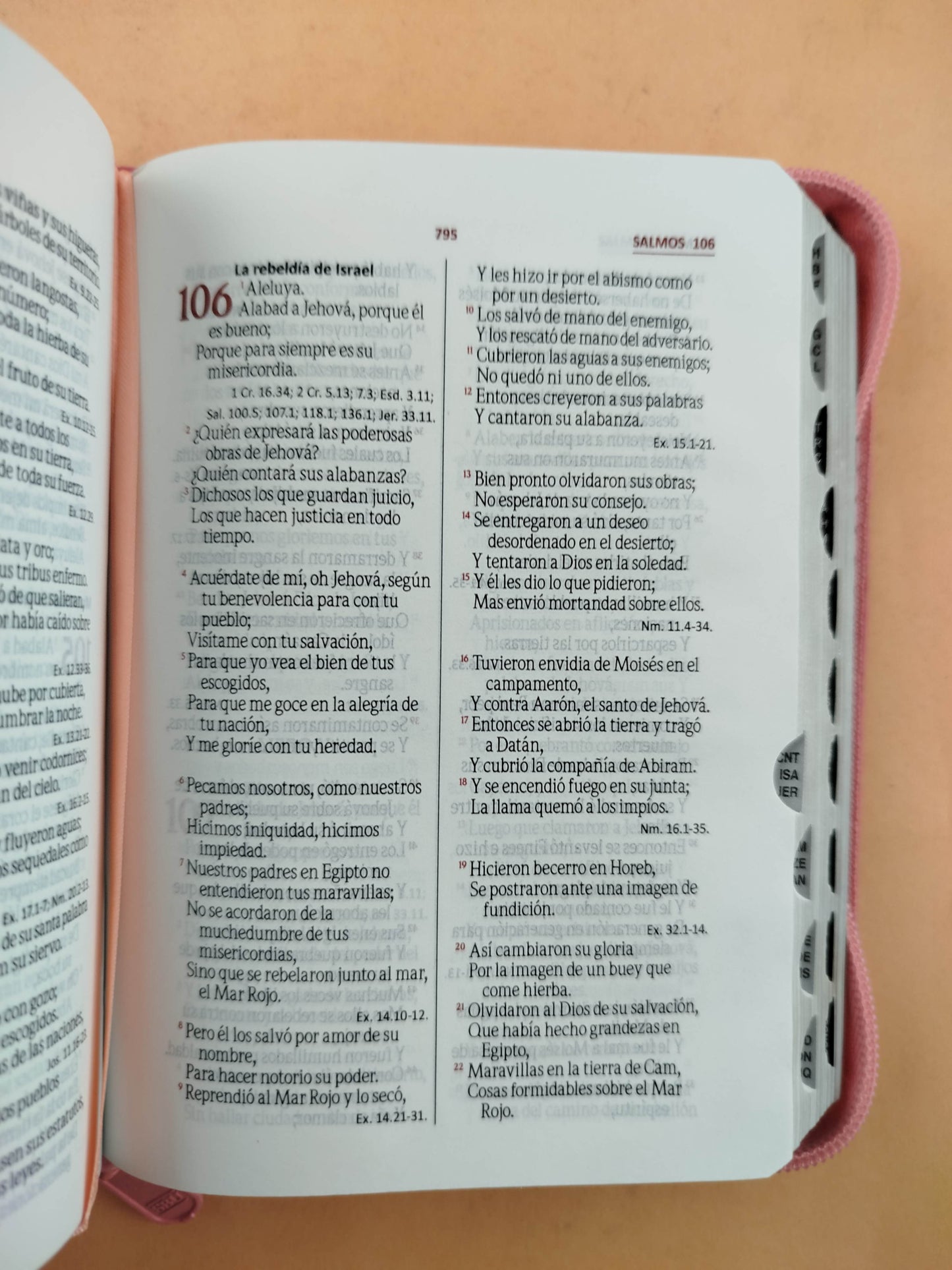 Biblia pequeña fucsia rosado con índice
