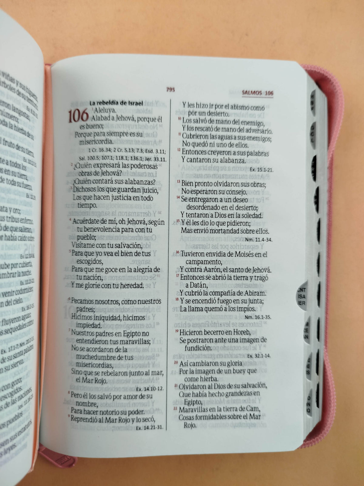 Biblia pequeña fucsia rosado con índice by Reina Valera 1960