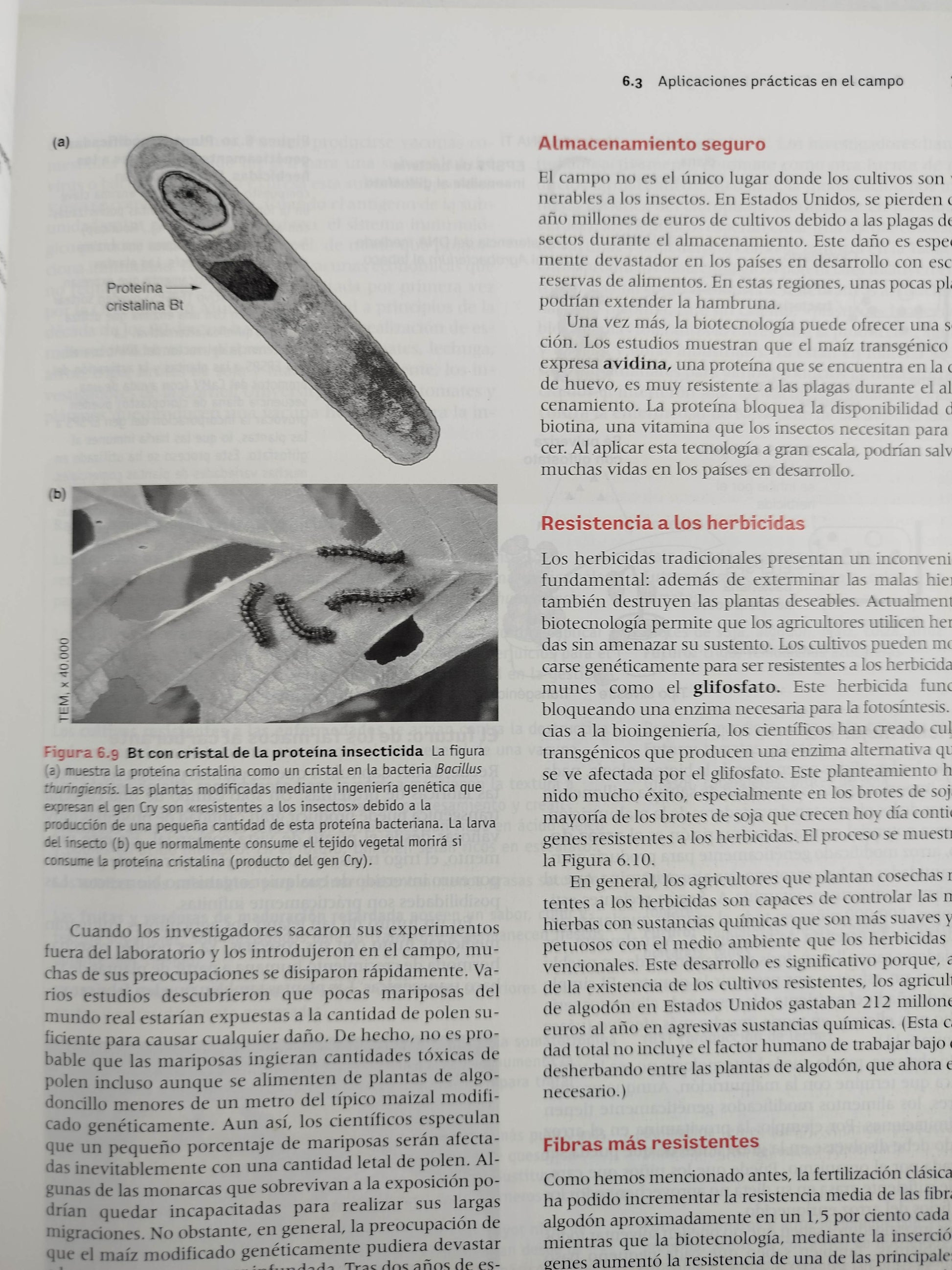 Introducción a la biotecnología by William J Thieman