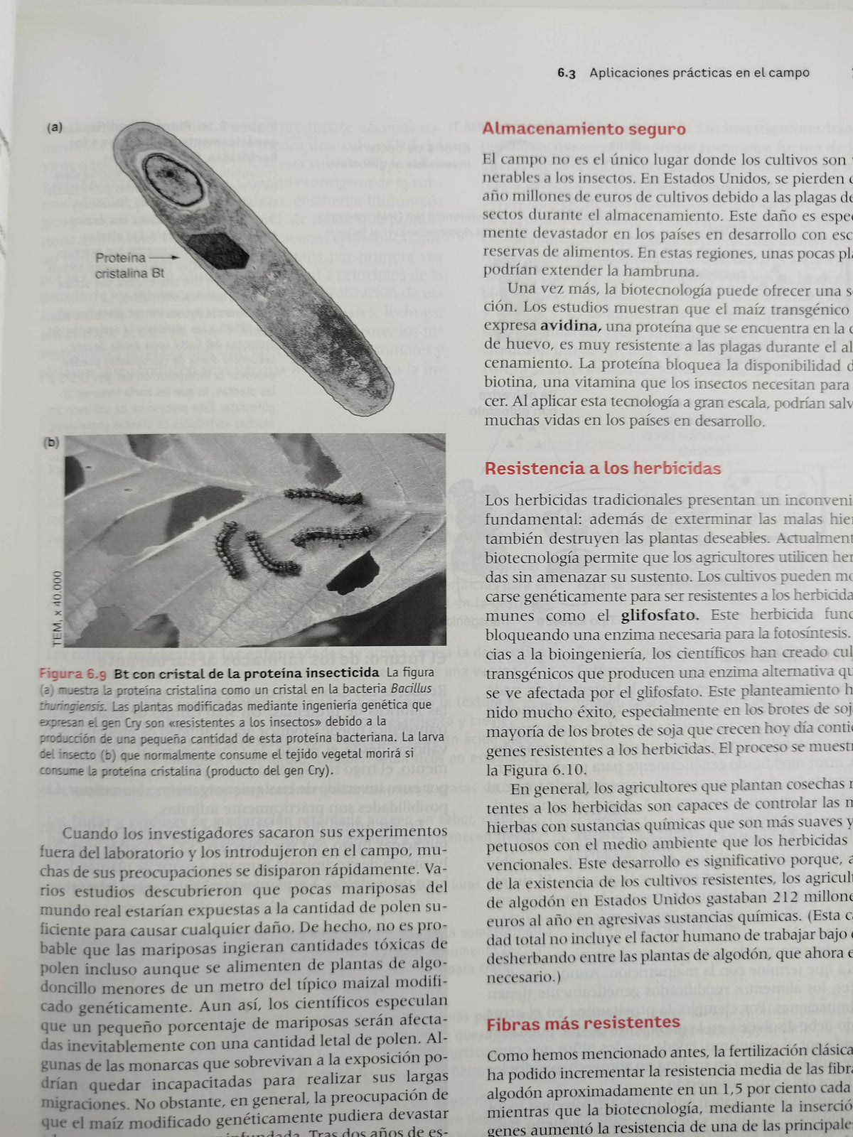 Introducción a la biotecnología by William J Thieman