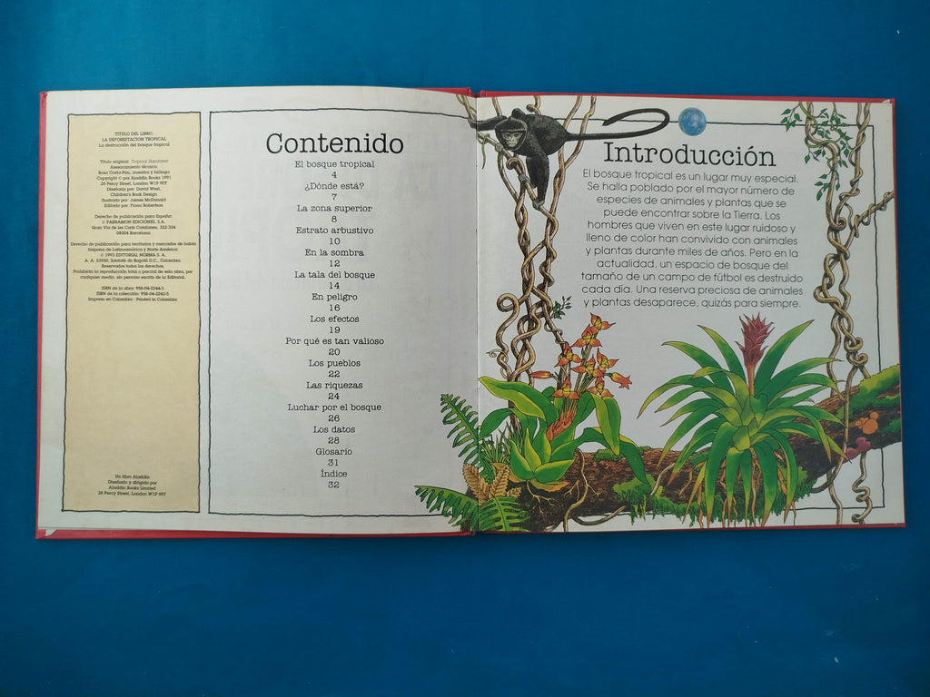 La deforestación tropical la destrucción del bosque tropical by M Bright