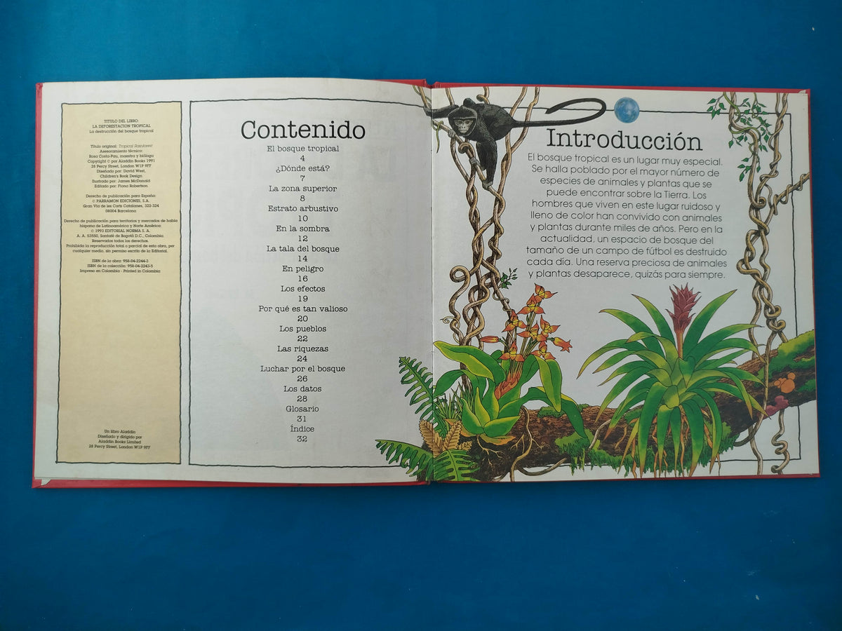 La deforestación tropical la destrucción del bosque tropical by M Bright