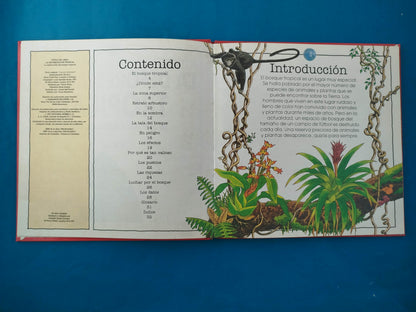 La deforestación tropical la destrucción del bosque tropical
