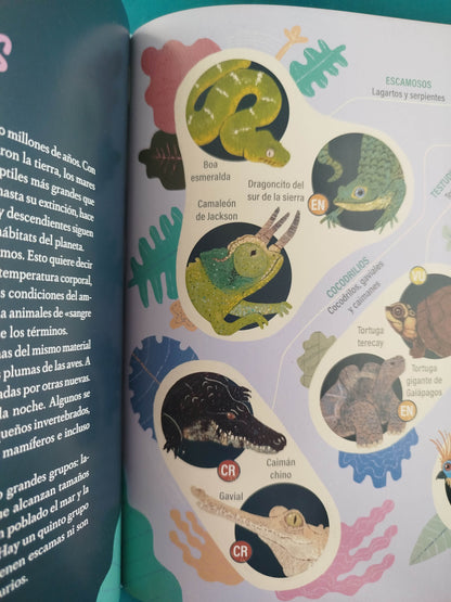 Guía secreta de anfibios y reptiles