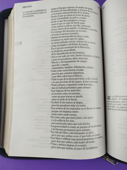 Nuestra sagrada biblia letra grande misión continental negra