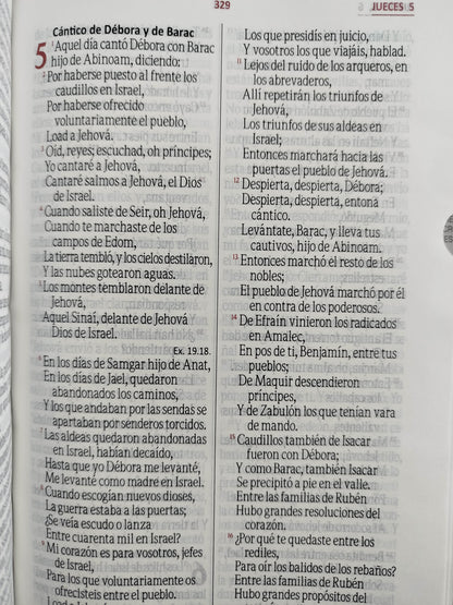 Biblia rvr con índice Gris negra canto plateado by Varios