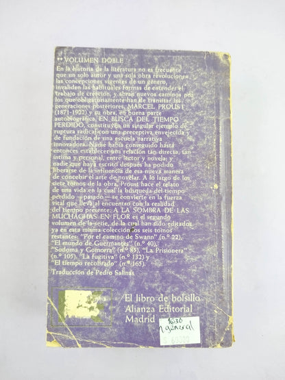En busca del tiempo perdido 2. A la sombra de las muchachas en flor