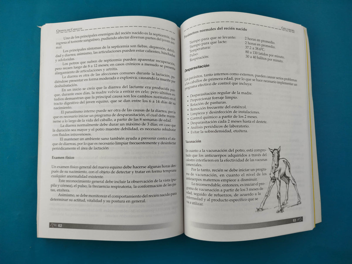 Crianza de Caballos by Varios Autores