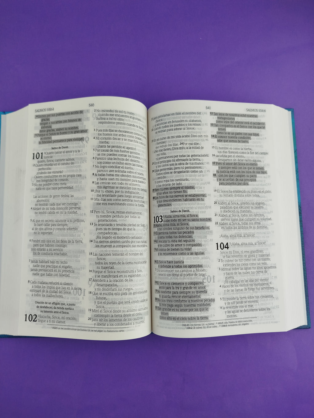 Biblia promesas nvi azul pasta dura by Nueva Versión Internacional