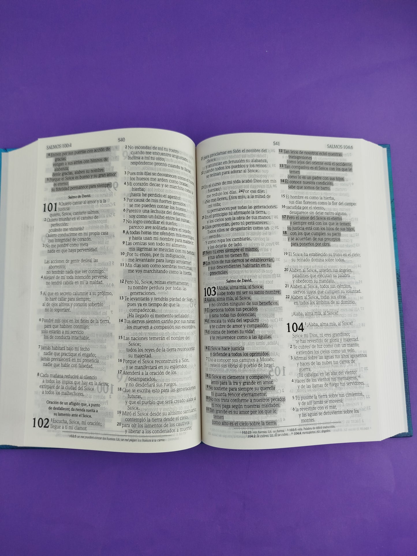 Biblia promesas nvi azul pasta dura by Nueva Versión Internacional